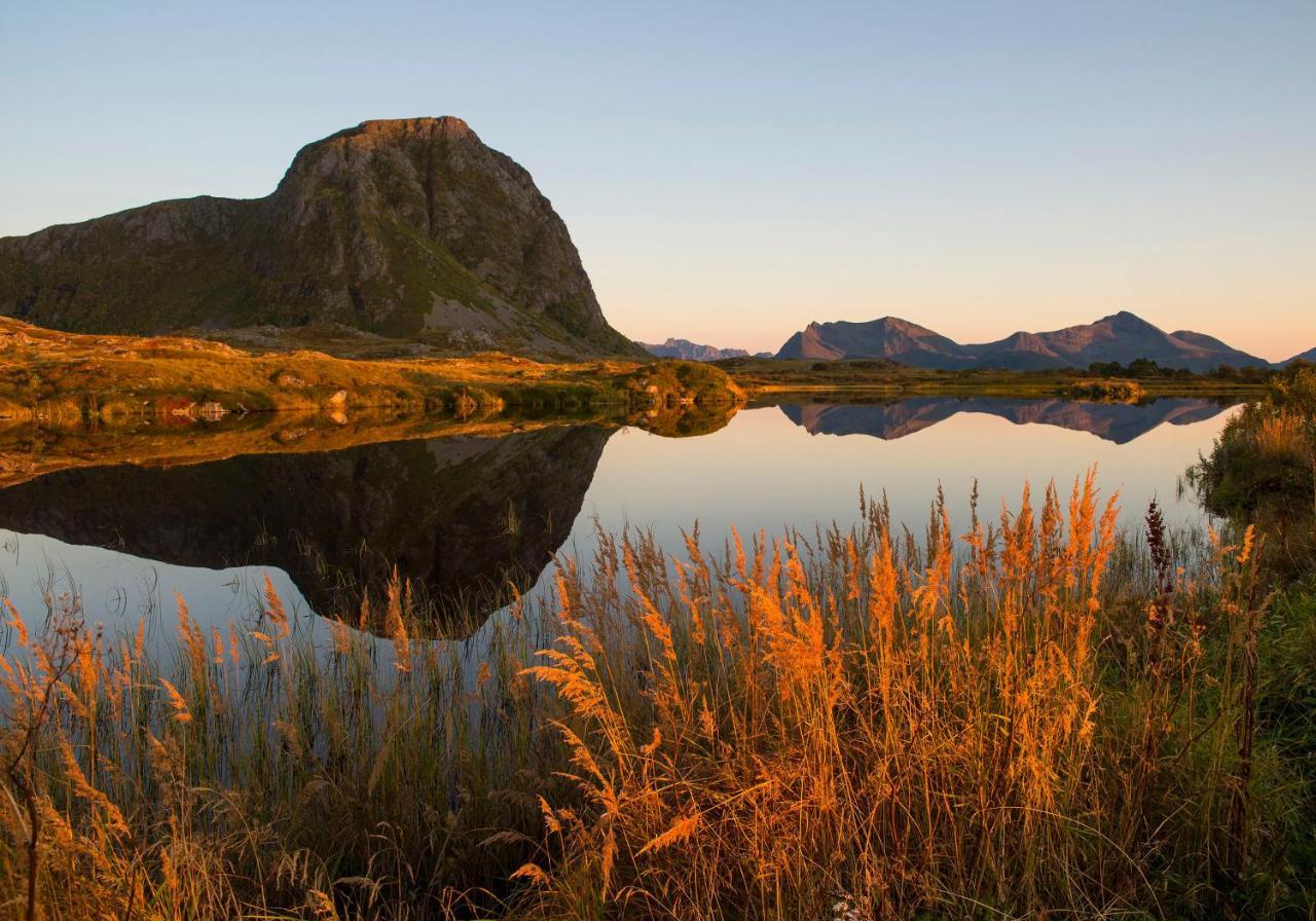 Wildlife Panorama Lofoten Bostad Exterior photo