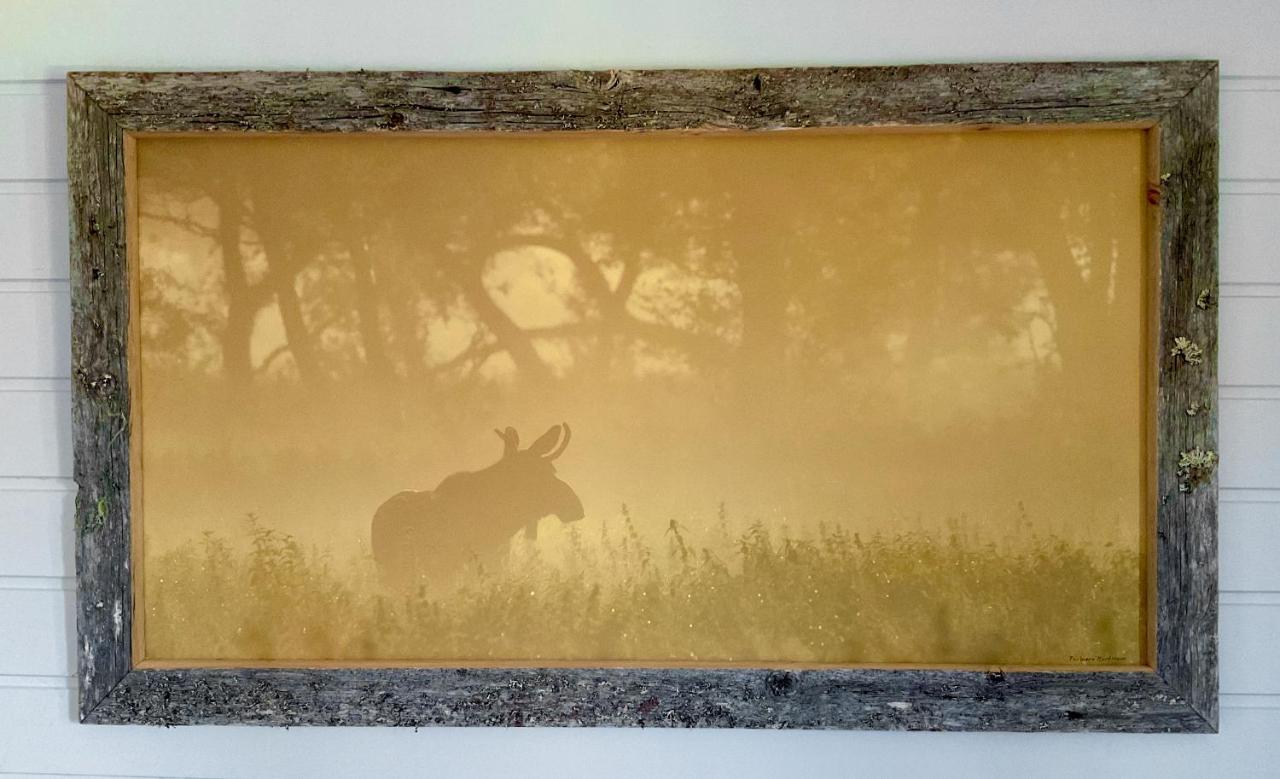Wildlife Panorama Lofoten Bostad Exterior photo